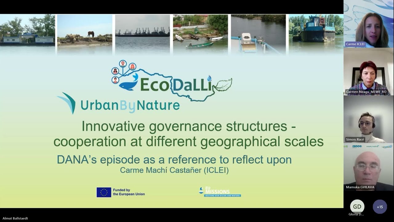 Innovative Governance Structures: Cooperation at Different Geographical Scales