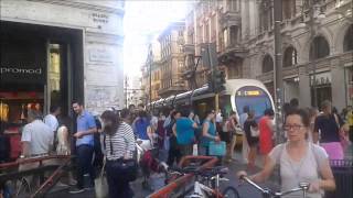 trams & trolleybuses