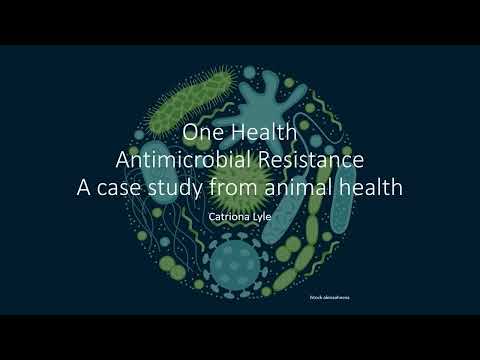 One Health Antimicrobial Resistance - a case study from animal health