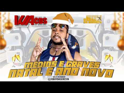 O BOY DA SERESTA - CD VERÃO 2021 - MÉDIOS E GRAVES - WACDS