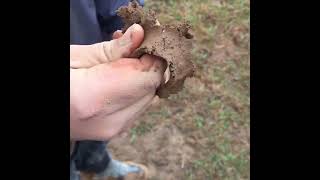 soil texture and consistency #agriculture #soil