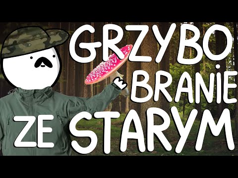 MUSHROOMS PICKING WITH OLD