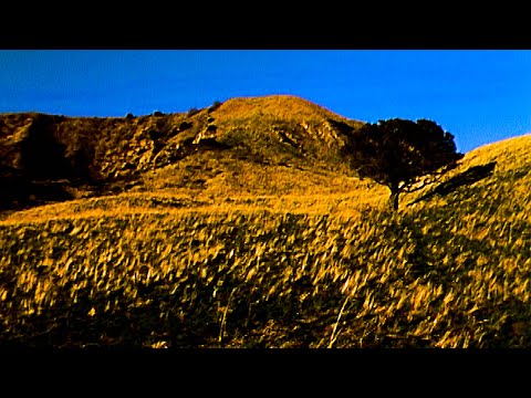 Kevin Abstract, Ryan Beatty - TOP OF THE MOUNTAIN