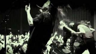 Aborted- A Cold Logistic Slaughter