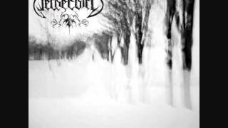 Netherbird - Twilight Gushes Forth....