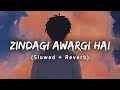 Zindagi Awargi Hai - Lofi | (Slowed + Reverb) | Jhoom OST | Haroon Kadwani | Moonlas