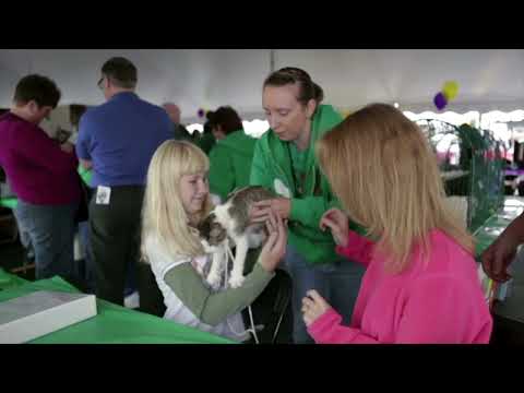 Long Island Rabies Clinic