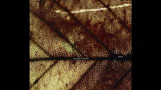 【Instrumental cover】Pay money To my Pain - Sweetest vengeance