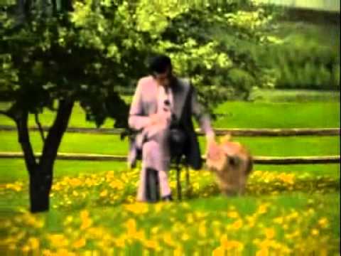 Sulu Şaka - Peyk