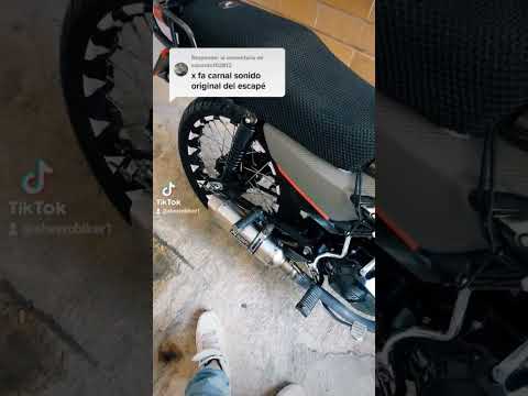 Ft150 con escape akrapovic 👌🏻