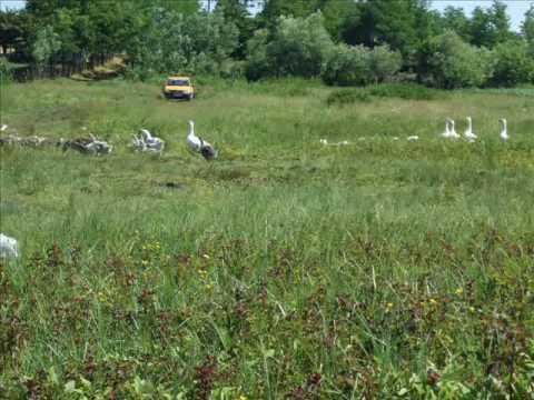 Vacanta si pozele facute la Calarasi...