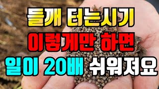 들깨터는시기와 방법 이 방법으로 들깨털면 일이 20배는 쉽고 들깨도 많이 수확해요.