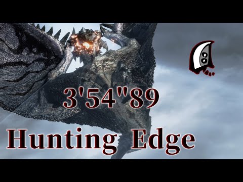 【MHR:SB】傀異討究Lv200 リオレウス希少種 ハンティングエッジ特化大剣 03’54”89/Silver Rathalos GS HuntingEdge 【サンブレイク】