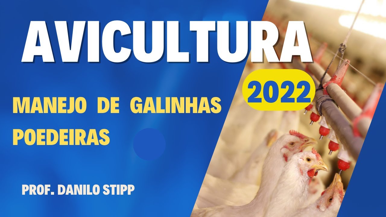 05 - Manejo de galinhas poedeiras 2022