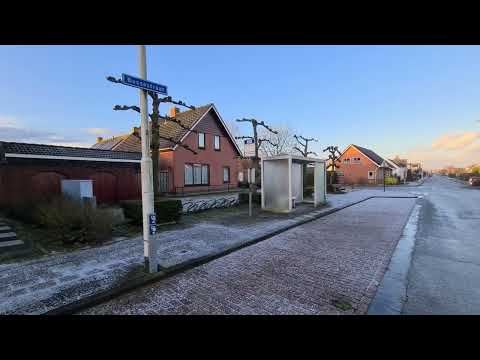 Spekglad in Vogelwaarde provincie Zeeland Nederland