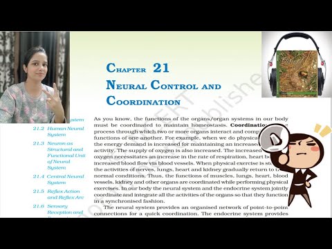 Neural Control and Coordination NCERT Audio Book | NCERT Class11 Biology Audiobook | NCERT Reading