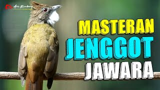 Download lagu CUCAK JENGGOT GACOR NGEPIK MBESET ISTIMEWA MASTERAN WAJIB UNTUK SANG JUARA mp3 Download lagu CUCAK JENGGOT GACOR NGEPIK MBESET ISTIMEWA MASTERAN WAJIB UNTUK SANG JUARA mp3