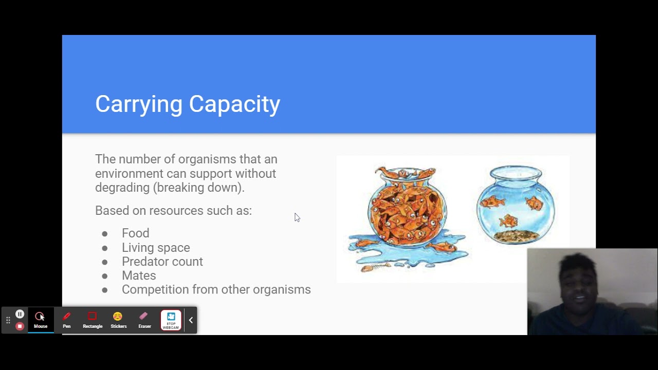 Population Dynamics - mini lesson - Google Slides