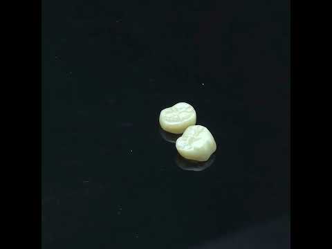 YouTube 썸네일