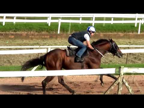 2012-11-12 Silver Spring trackwork