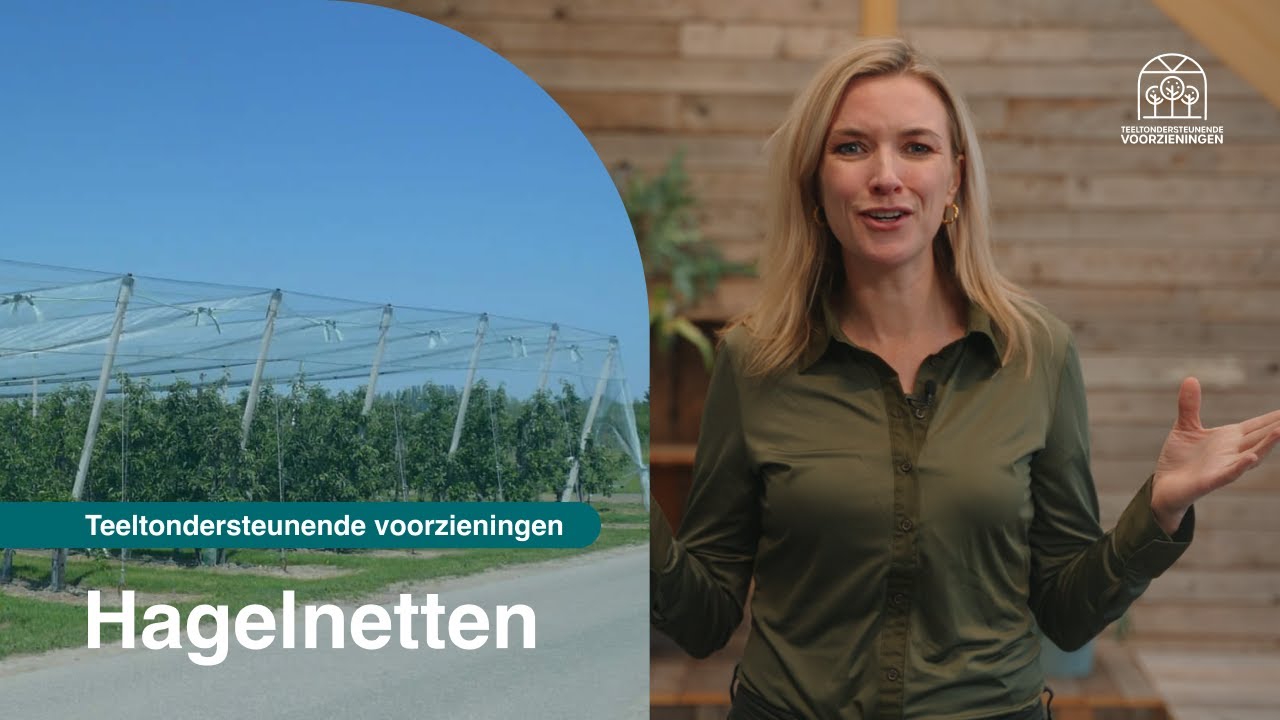 Videostill: hagelnetten boven een fruitboomgaard