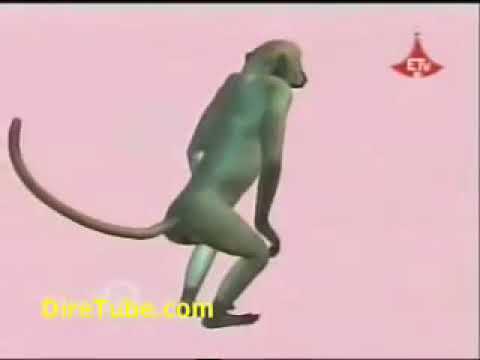 Alemu W Mariam   Char  Animation   Nebero