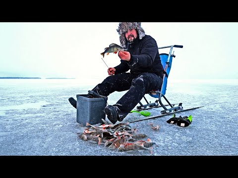 ISO KASA AHVENTA MIKROJIGILLÄ - KEMPELEENLAHTI - ORKA MIKROJIGIT