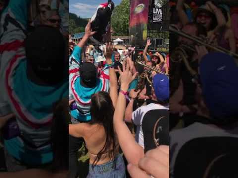 Swift technique - discjam 2017 penguin worship