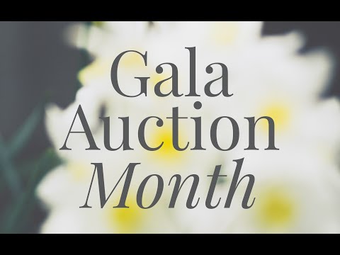 Gala Auction Video