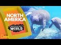 North America Destination World
