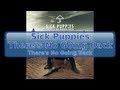Sick Puppies - There's No Going Back [Lyrics ...