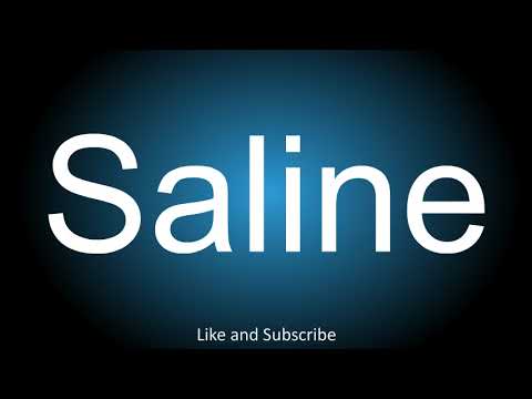 How to correctly pronounce in American and British English - Saline.