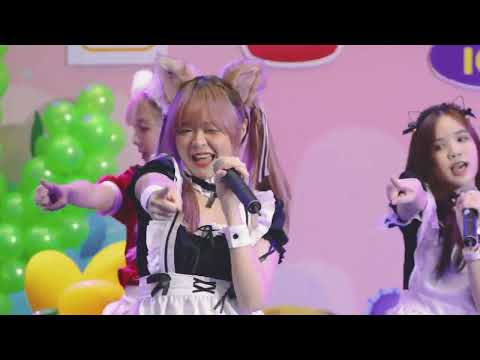 ทาสแมว Mickey CMJ 「ミッキー」 Focus