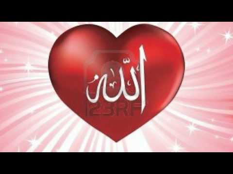 Këndvështrim Islam - Përkujto!!!