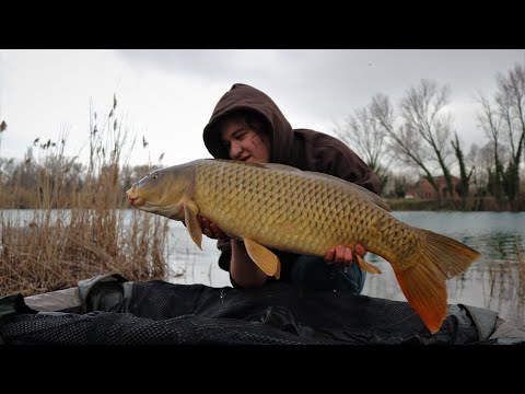 Carp Fishing In Cava #3 (Mirror Lake)