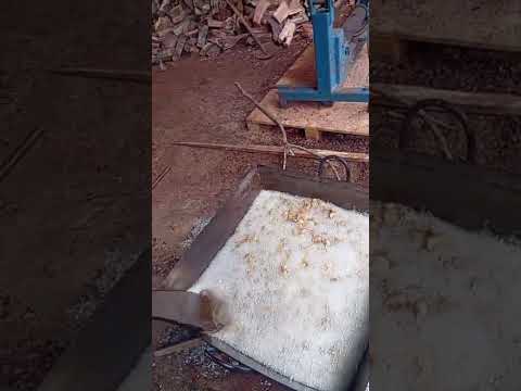 4 de novembro de 2025