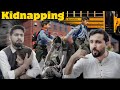Kidnapping School students || Zindabad vines || Pashto new video 2024