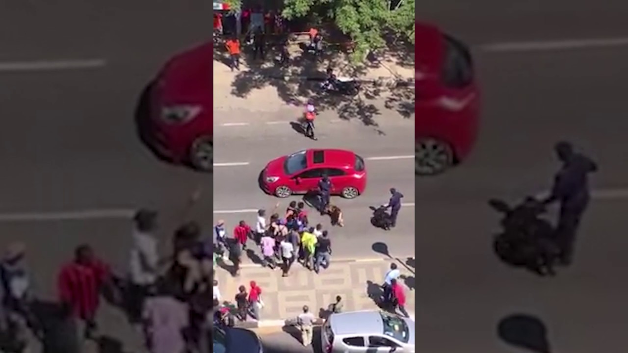 Video: Police Beat Protesters, Threaten them with Dogs in Angola