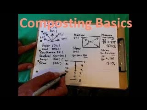 Composting For Beginners: Getting A Perfect Carbon to Nitrogen Ratio