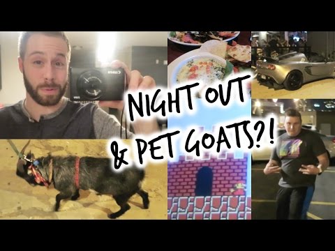 Night Out & PET GOATS?! Video