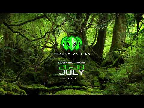 PLEXIGO @ Transylvaliens Festival - Ludos, Romania [Dark Forest Psytrance] • DJ-Set • 2OI7