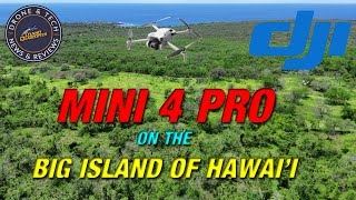 DJI Mini 4 Pro On The Island of Hawai'i at The Keala O Keawe Rd Overlook