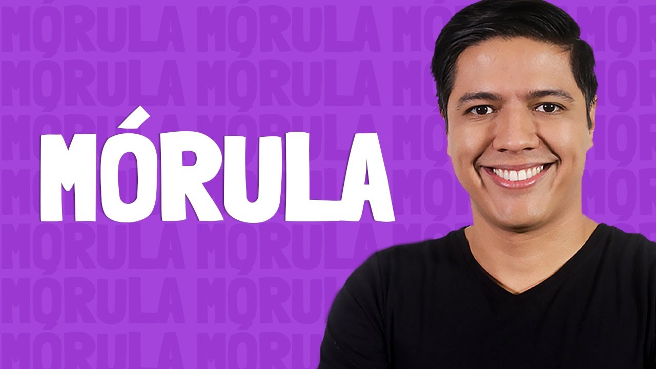 Mórula - Prof. Kennedy Ramos.