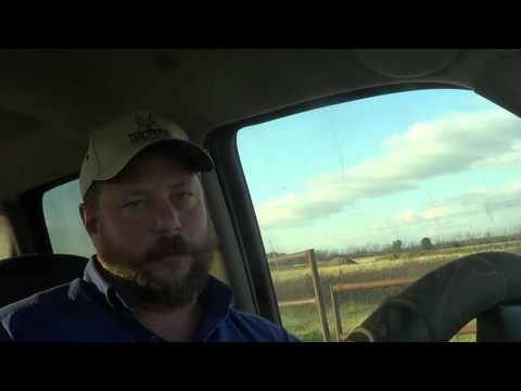 Tips for Rehabilitating Mouth Vices, Excessive Mouthing of the Bit, Tongue Over the Bit, etc.