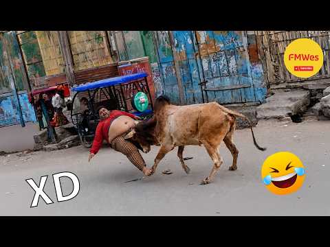 Funny Videos 🤣 If You Laugh You Lose GOD LEVEL #733 😎Mexican Viral Humor🤣