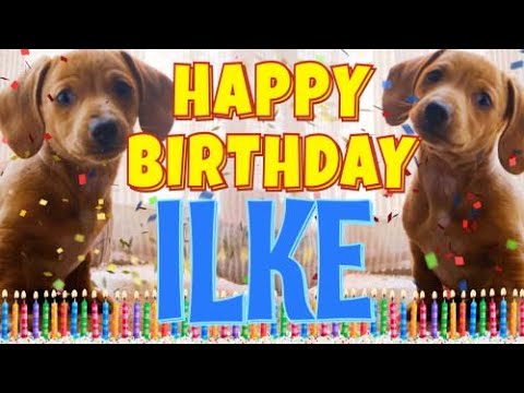 Happy Birthday Ilke! ( Funny Talking Dogs ) What Is Free On My Birthday