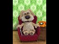 Ben Sings Tusk Boss Theme Music From Donkey Kong