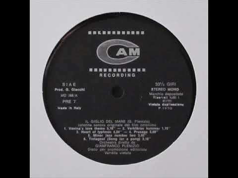 Gianfranco Plenizio - Verklärter Kummer