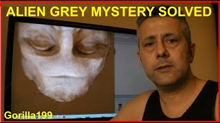 Alien Grey Mystery Solved - by Gorilla199