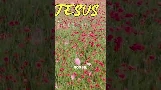 EU SOU DE JESUS #musica #musicagospel #louvores #hinosccb #musicosccb #gospelmusic